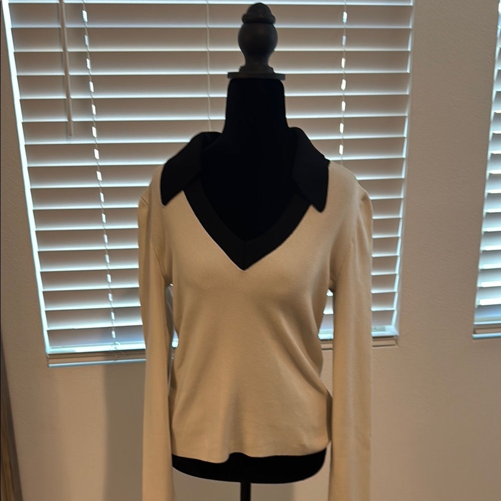 Express Cream and Black V-Neck Sweater